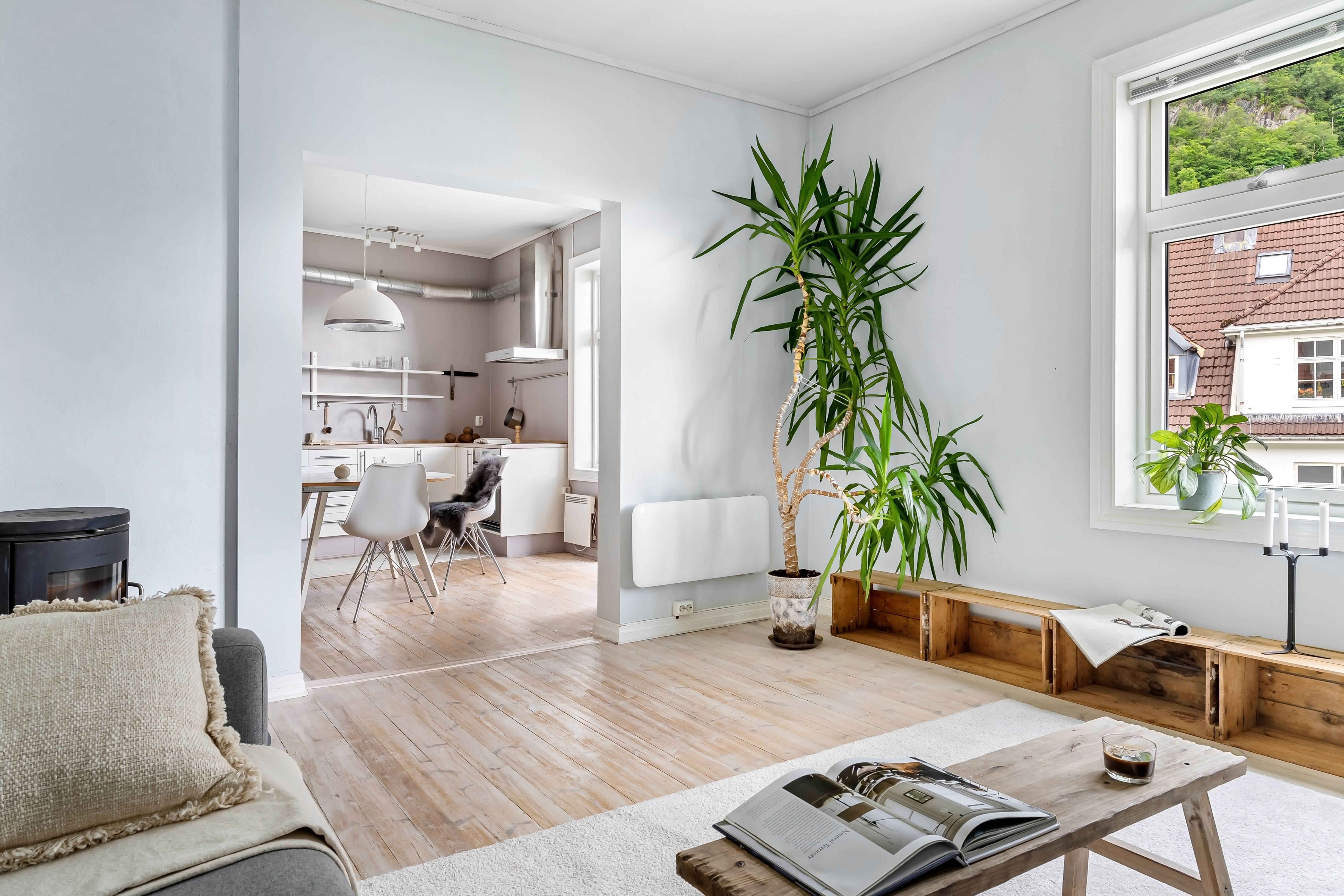 Bright Scandinavian-style STR living room with open kitchen and indoor plants